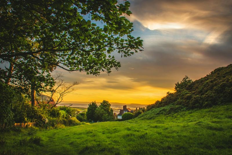 nature