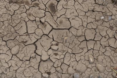 soil_climate_change_effect